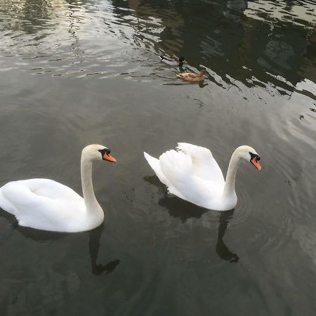 Отель La Bigoudene Wambrechies Экстерьер фото